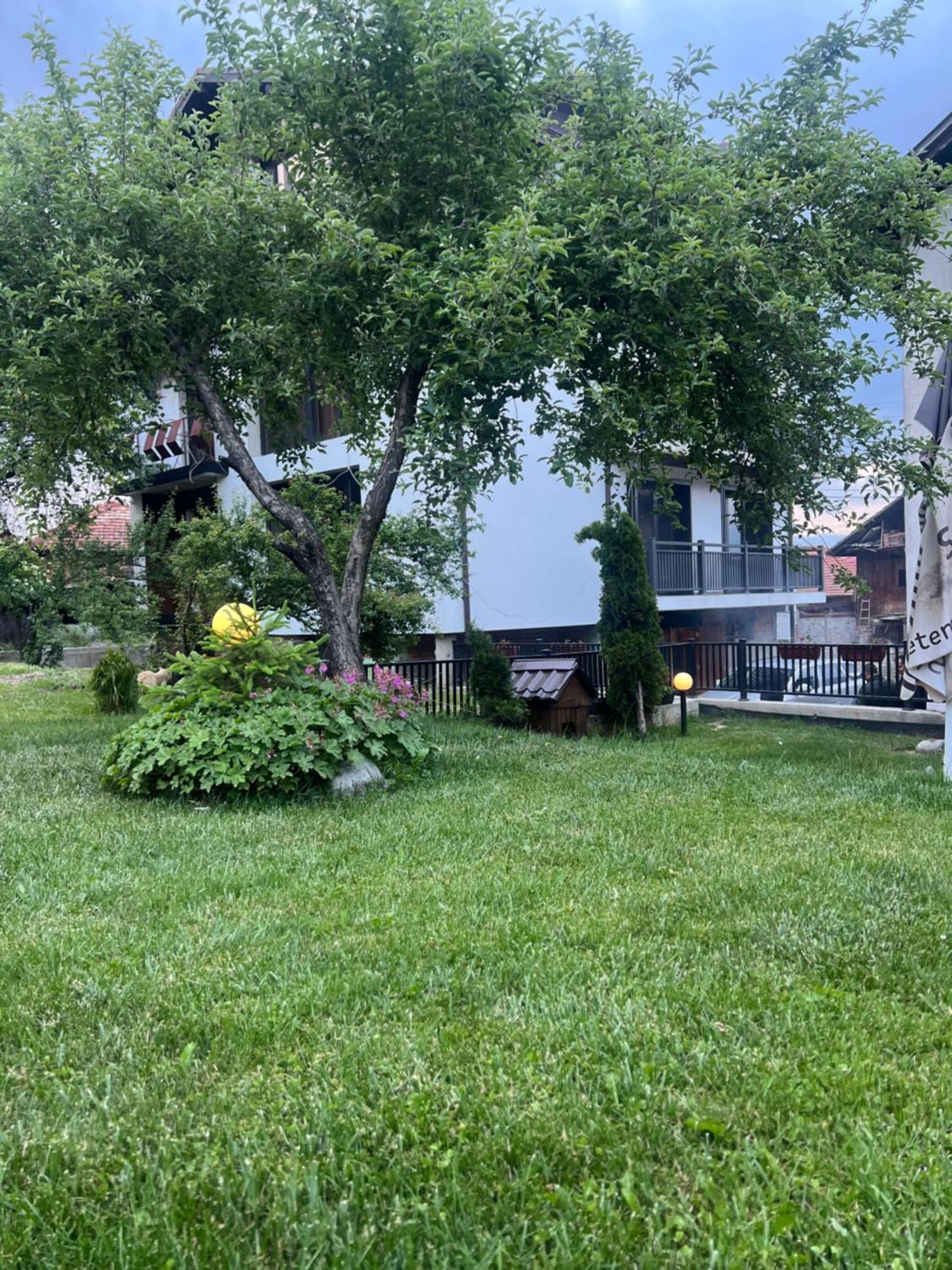 Guest House Raffe Dobrinishte Exterior foto